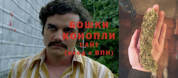 Альфа ПВП Сосновка