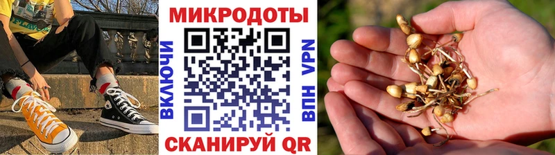 Псилоцибиновые грибы Psilocybine cubensis  сколько стоит  kraken tor  Ноябрьск 
