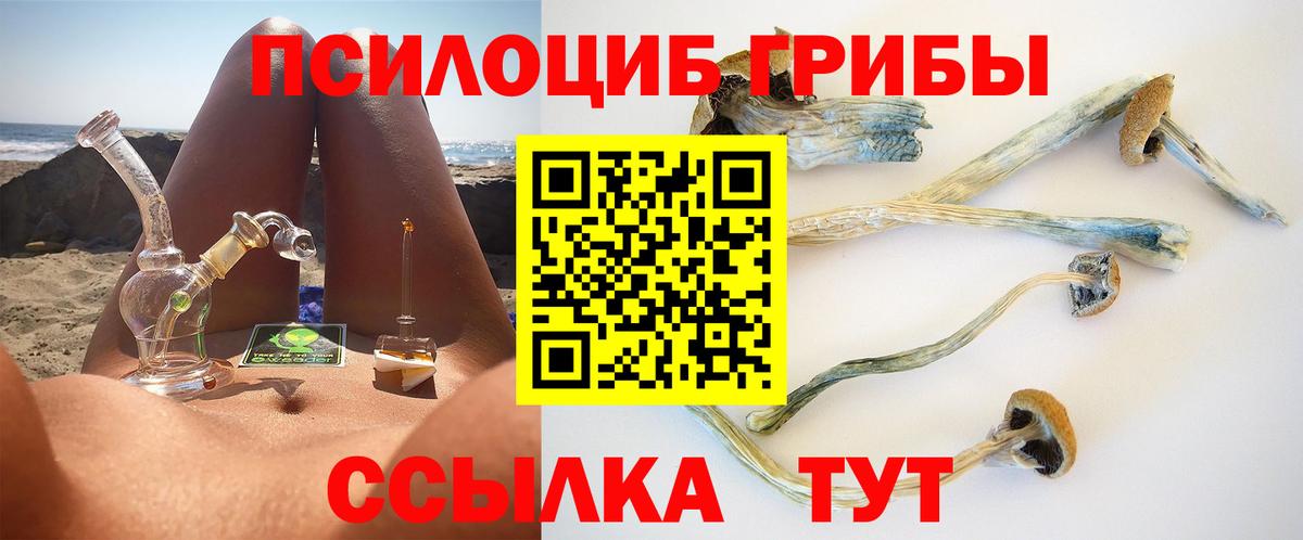 где купить   Галлюциногенные грибы GOLDEN TEACHER  Вход с VPN  Ноябрьск 